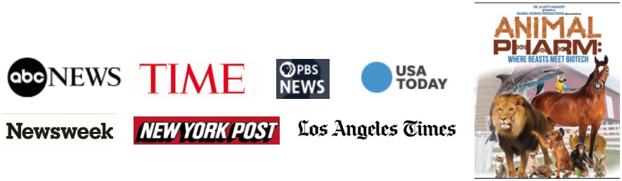 News Logos and Documentary